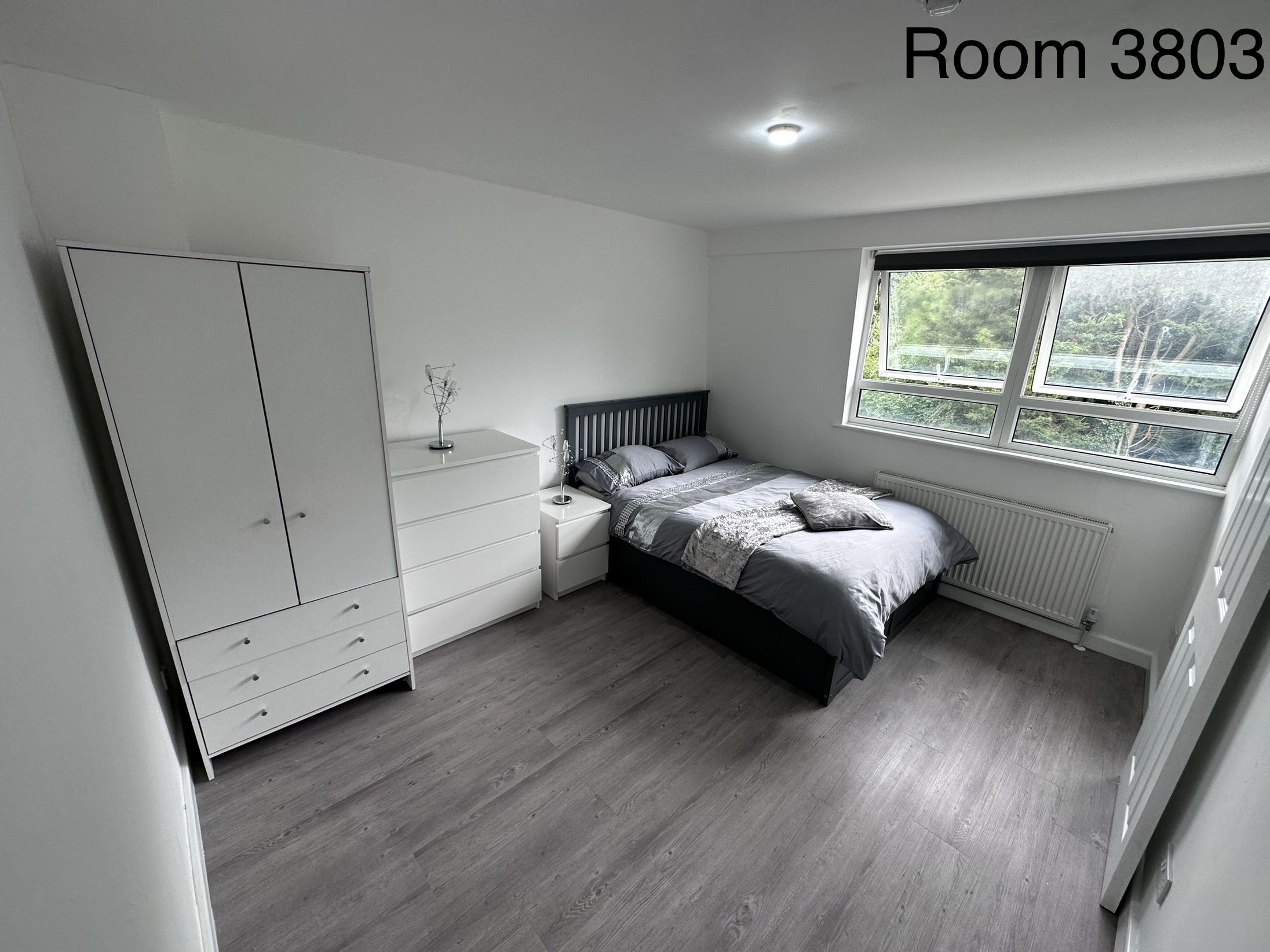 Room 3 photo 2